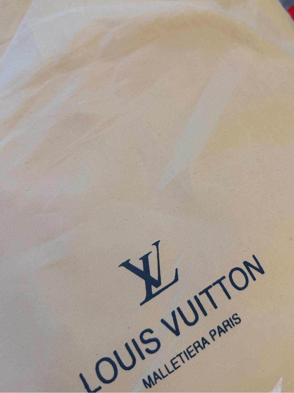 Louis Vuitton Monogram Canvas Bucket Crossbody Bag -Dust Bag&Receipt included - Picture 6 of 11